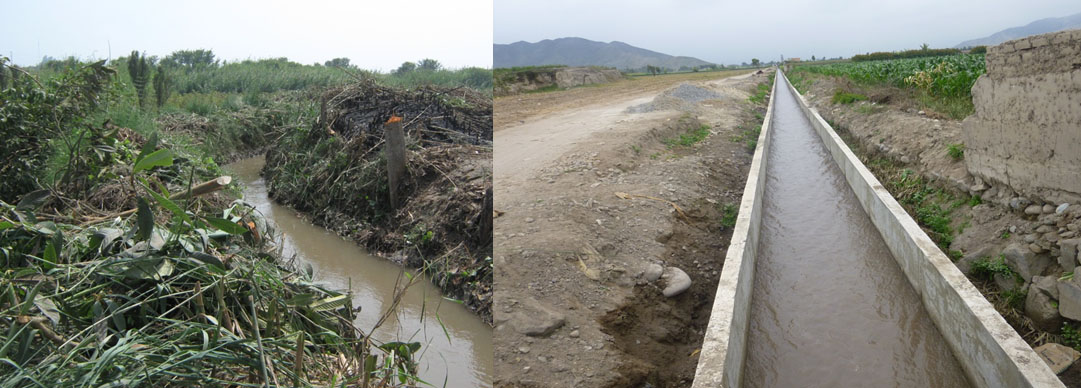 Lorem ipsum dolor sit amet, consectetur adipiscing elit. Donec vitae bibendum metus. Ut vitae sodales magna. Donec tellus ipsum, viverra eu nulla quis, elementum dictum eros. Fusce ultrices sem eu…