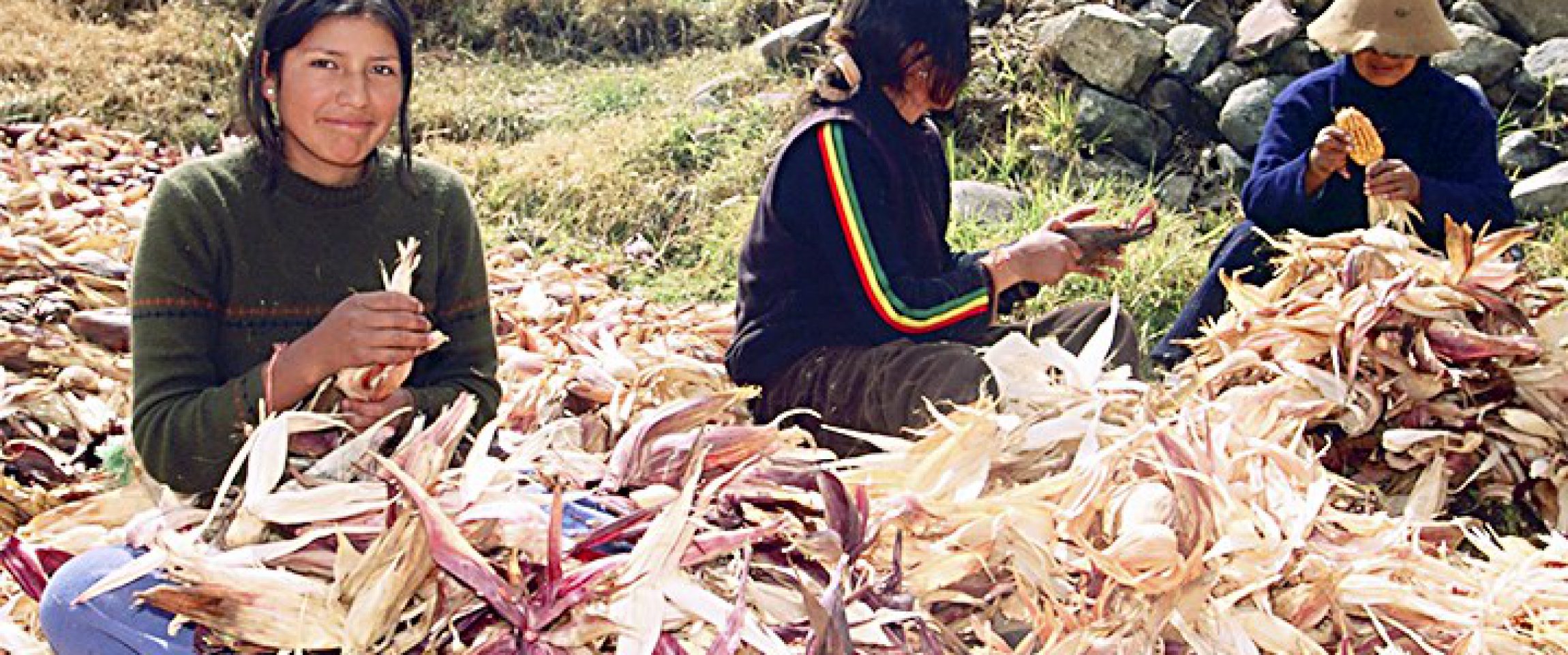El Peruano El Peruano
20/06/2018
El Ministro de Trabajo y Promoción del Empleo, Christian Sánchez, informó que su sector, por intermedio del programa Trabaja Perú, ha generado más de 15,000 empleos temporales a favor…