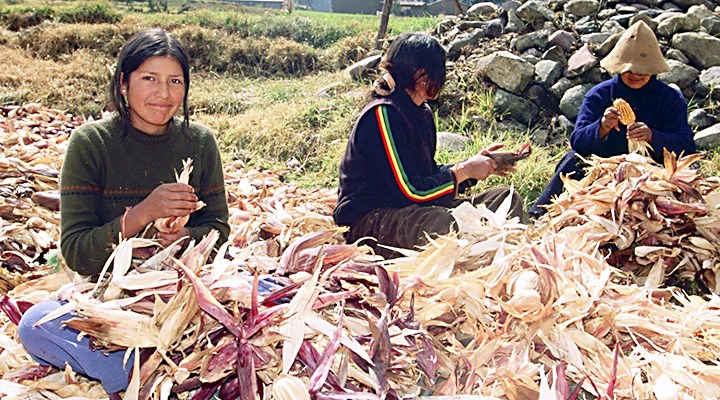 El Peruano El Peruano
20/06/2018
El Ministro de Trabajo y Promoción del Empleo, Christian Sánchez, informó que su sector, por intermedio del programa Trabaja Perú, ha generado más de 15,000 empleos temporales a favor…