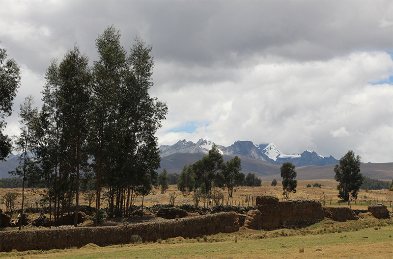 IMG_8434_1 El distrito de Cátac se encuentra a la margen derecha del Río Santa, al sur de Huaraz, y es la puerta de entrada al Parque Nacional Huascarán y a sus…