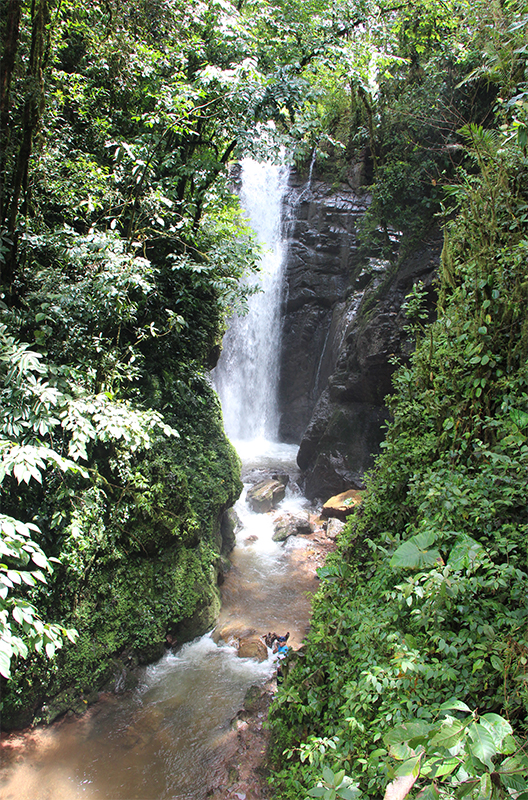 IMG_8594_1 “¿Quién va a venir hasta aquí a ver este huayco?”, se preguntaba con ironía e incredulidad Celestino Acuña, propietario de uno de los terrenos que colinda con la catarata del…