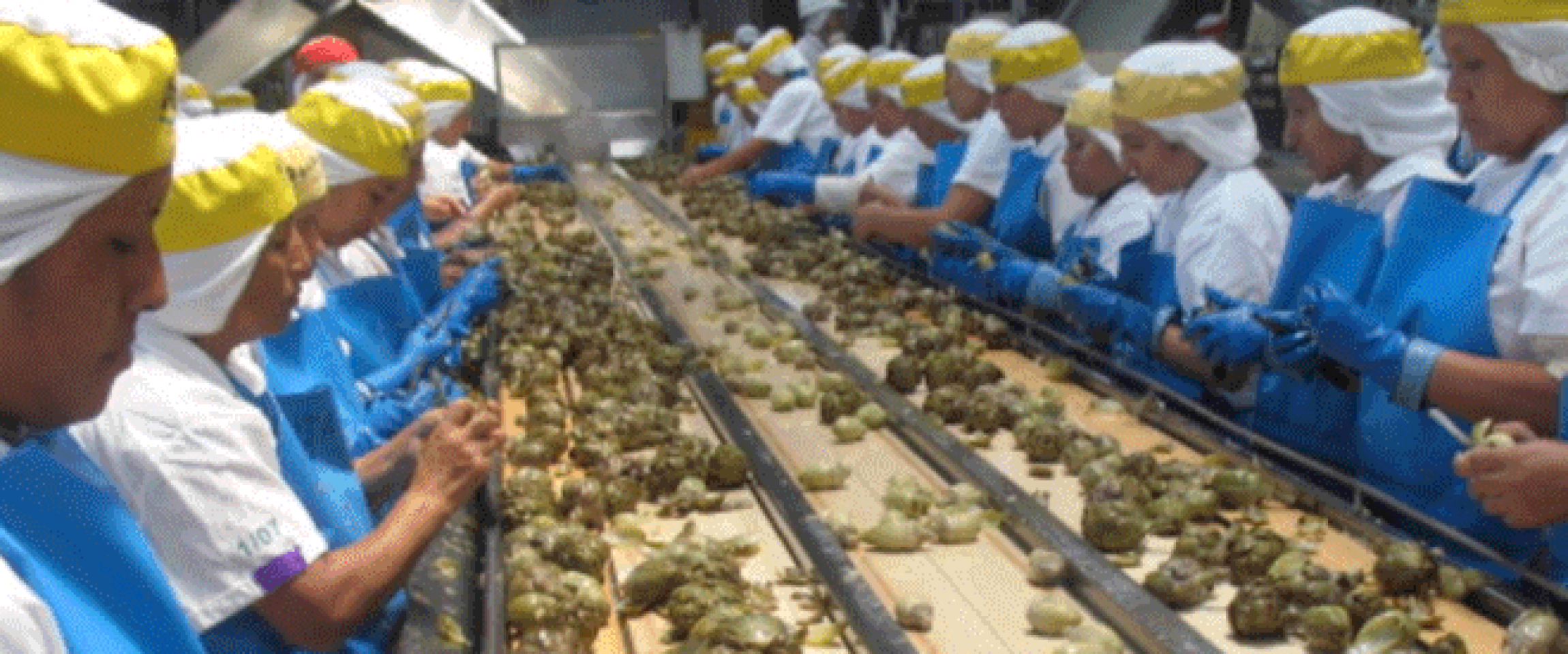 noticia-1543860856-trabajo-mujeres La República
03/12/2018
En total, 25 mil 518 personas se han insertado este año a un trabajo temporal. El Ministerio de Trabajo y Promoción de Empleo (MTPE), mediante el programa Trabaja Perú, dedicado a generar empleo temporal a la…