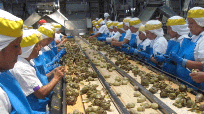 noticia-1543860856-trabajo-mujeres La República
03/12/2018
En total, 25 mil 518 personas se han insertado este año a un trabajo temporal. El Ministerio de Trabajo y Promoción de Empleo (MTPE), mediante el programa Trabaja Perú, dedicado a generar empleo temporal a la…