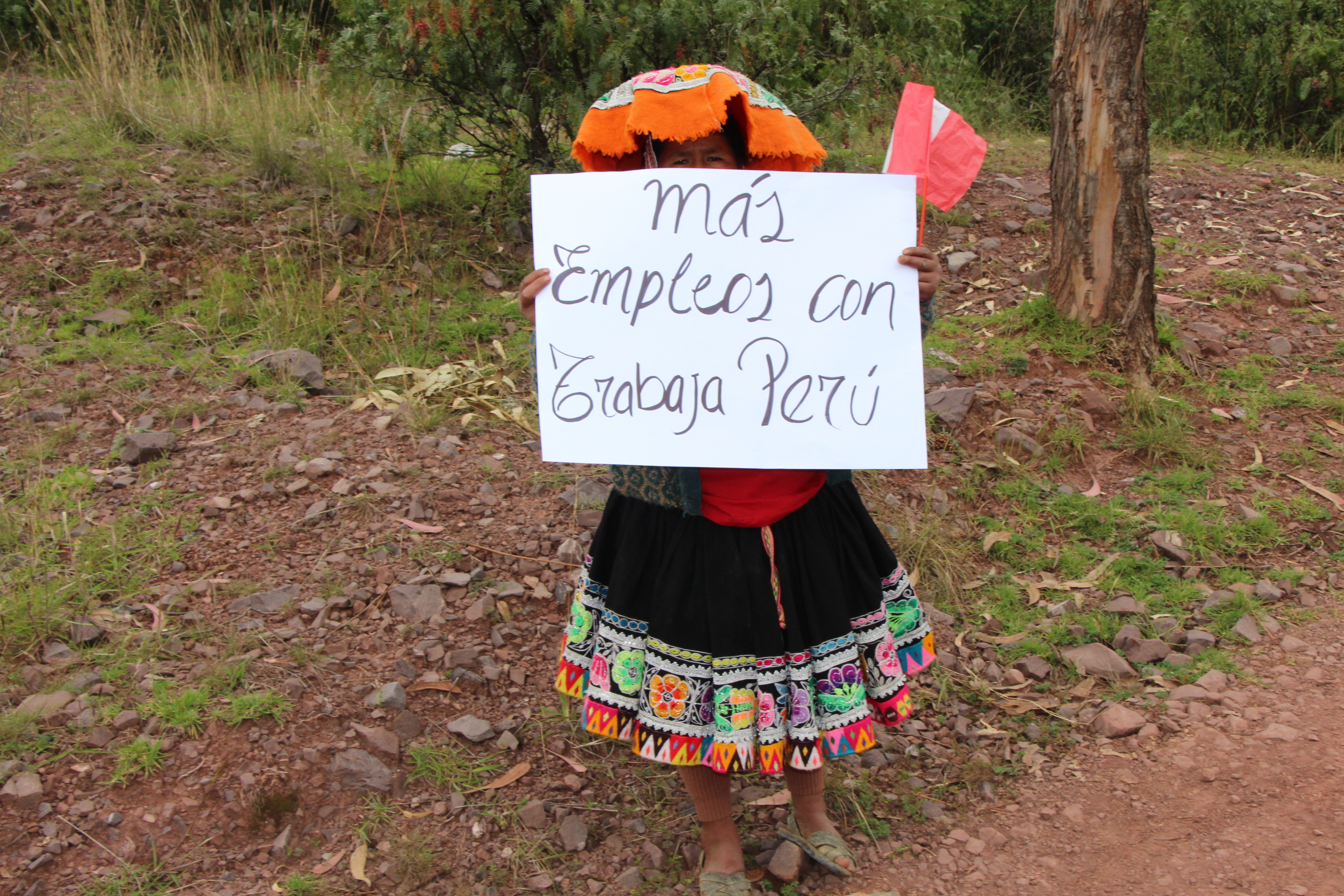 Trabajaperu20987 Luego del análisis exhaustivo de sus expedientes técnicos, y su posterior deliberación, un total de 296 proyectos de infraestructura básica, social y económica intensivos en mano de obra no calificada…