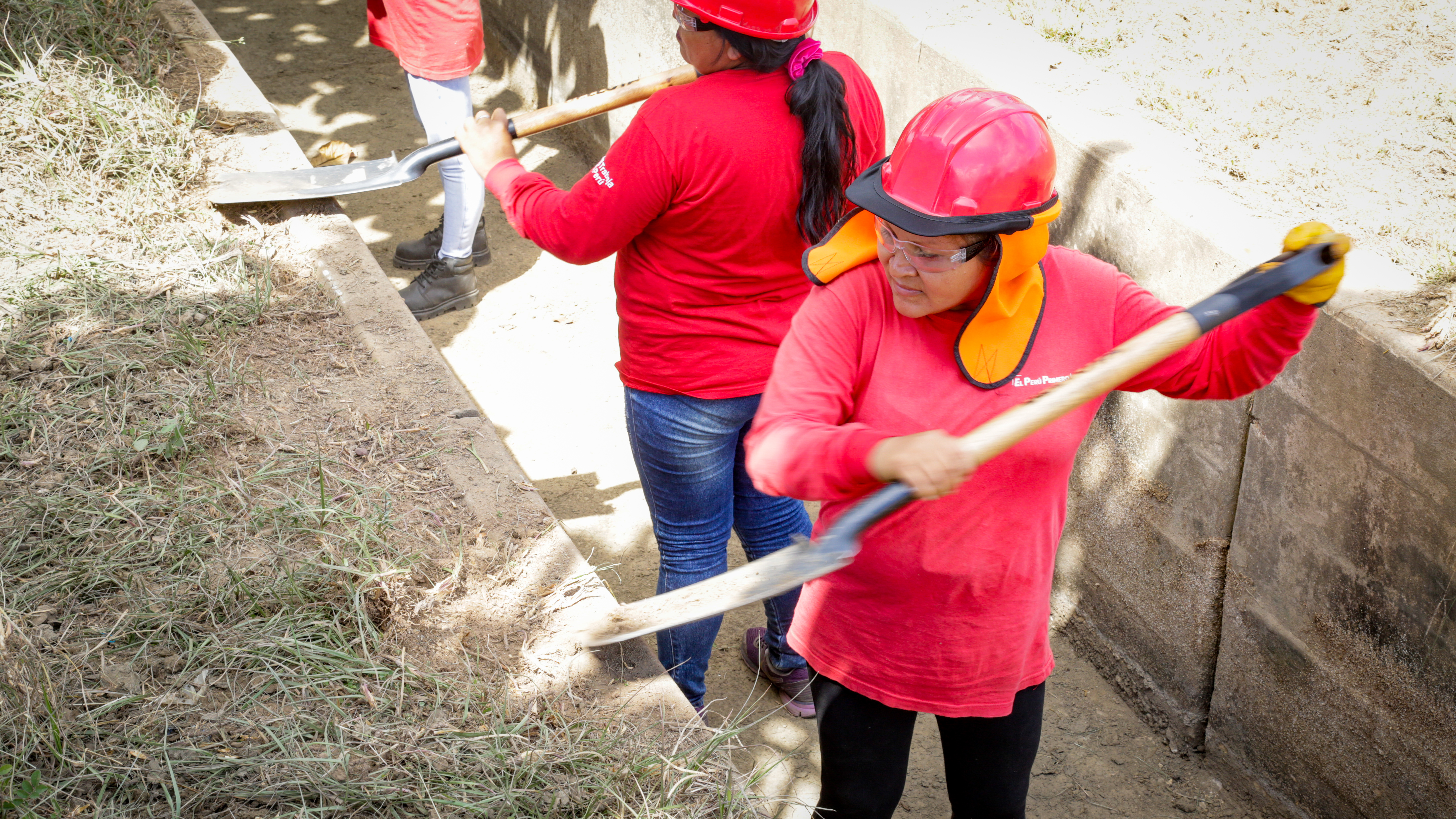 violenciagenero Al término del proceso de selección de participantes de la actual convocatoria de Trabaja Perú, se contabilizó que 195 personas víctimas de violencia de genero serían parte de los proyectos…