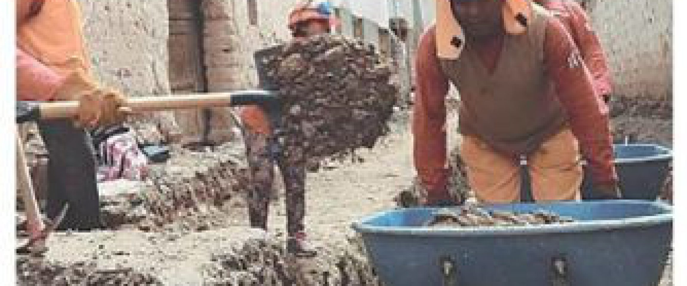 Ahora (Huánuco)

03/10/2019

Un total de 520 empleos temporales generará en Huánuco el programa Trabaja Perú.

Puedes leer la nota completa aquí.…