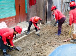 Un total de 269 gobiernos locales de las regiones de Apurímac, Cajamarca, Cusco, Junín, Lima Metropolitana, Puno y San Martín realizarán hasta el 23 de julio, el proceso de selección…