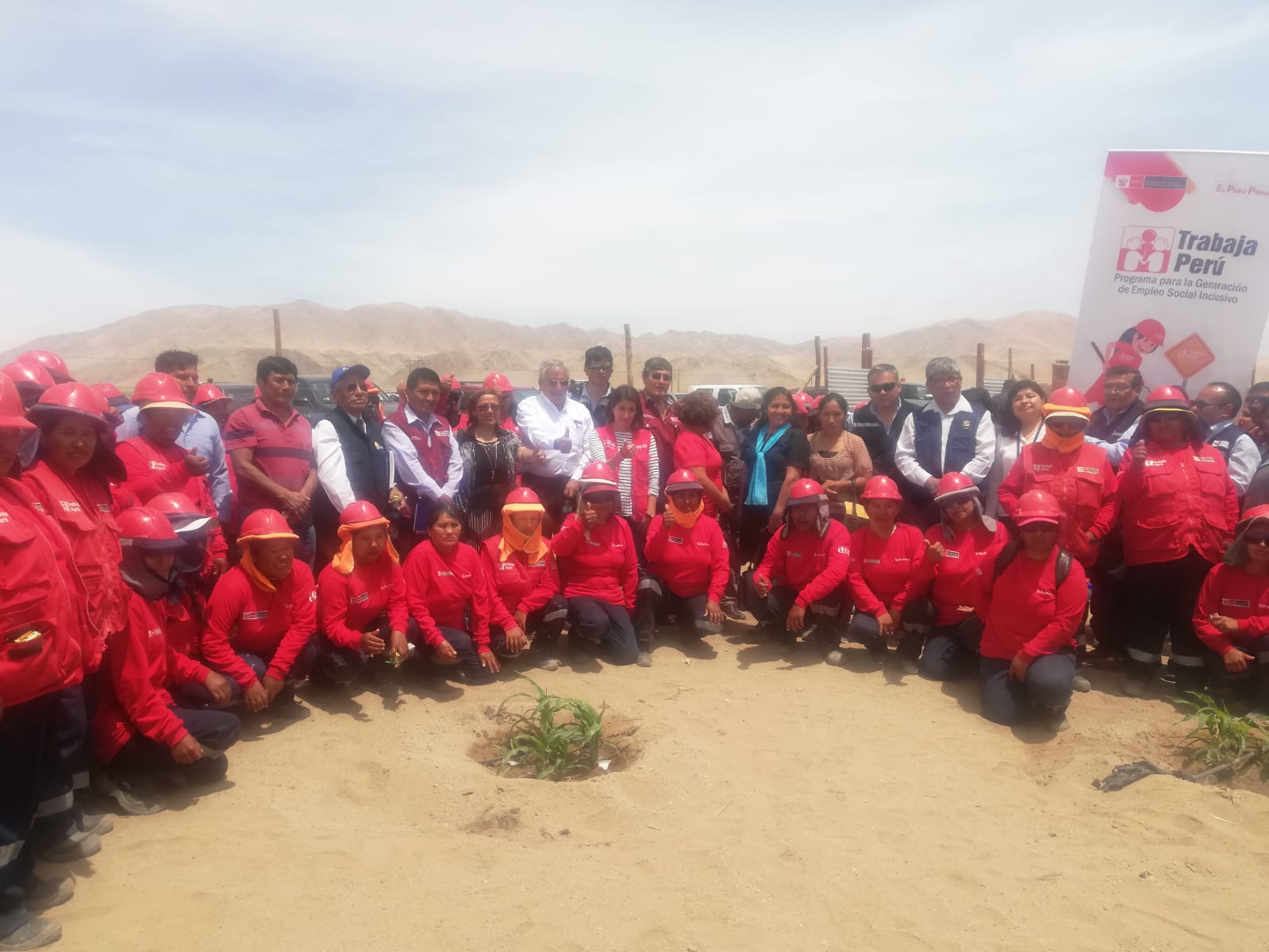 Moquegua trabajaperu 1 Proteger el medioambiente, contando con una zona recuperada en el distrito de El Algarrobal, provincia de Ilo, Moquegua, fue el objetivo que animó la puesta en marcha de un proyecto…