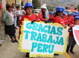 Más de 20 mil personas accederán a los empleos temporales que generará Trabaja Perú en el contexto del Concurso de Proyectos 2020 del Programa. Esta cifra corresponde a los candidatos…