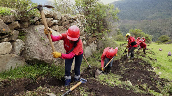 rpp trabajaperu 2020 lanzamiento convocatoria Correo
13/01/2020
El Ministerio de Trabajo y Promoción del Empleo (MTPE) informó que, en el marco del concurso Trabaja Perú, prevé generar 12 mil empleos temporales durante este año, mediante el cofinanciamiento…